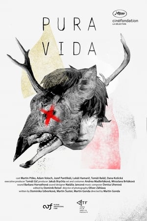 Pura Vida