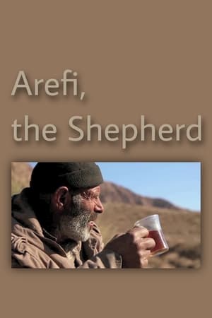 Arefi, der Hirte