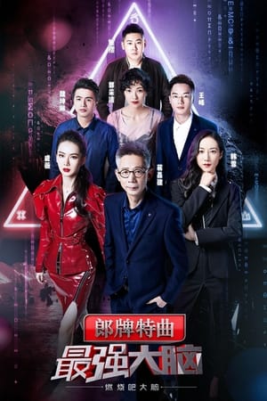最强大脑第6季