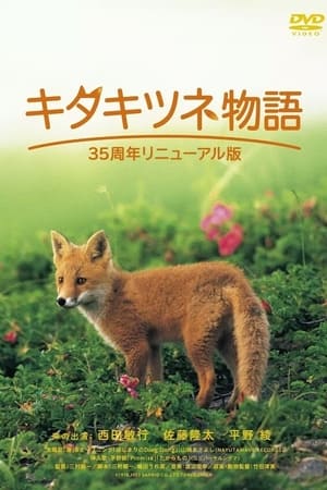 狐狸的故事