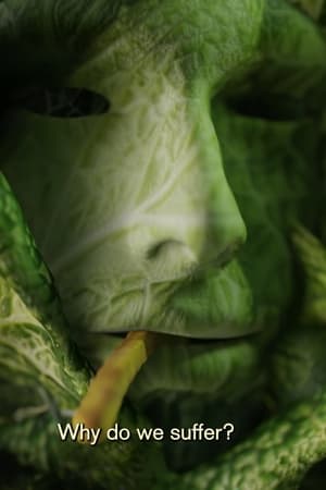 You are Light and Cabbage