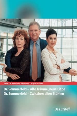 Dr. Sommerfeld - Alte Träume, neue Liebe
