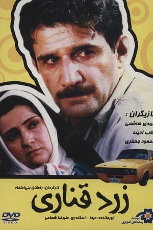 زرد قناری
