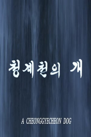 清溪川的狗