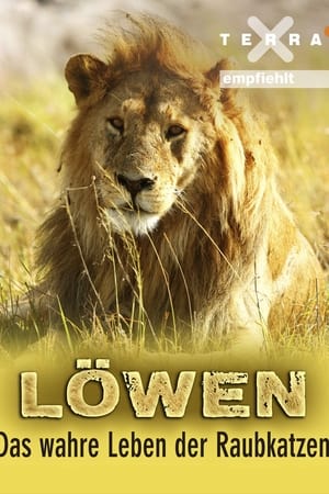 Löwen - Das wahre Leben der Raubkatzen