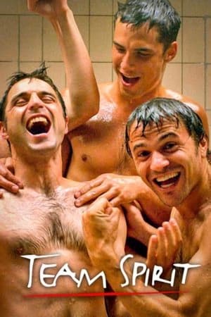 Team Spirit: De serie第2季