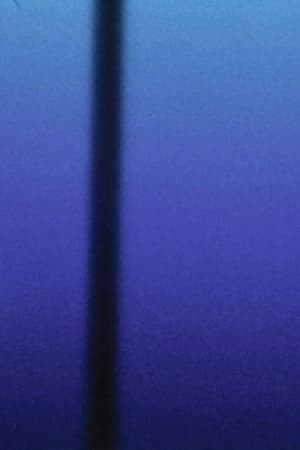 THE MEDICATION (ON BLUE)