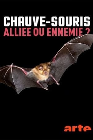 Chauve-souris: alliée ou ennemie?