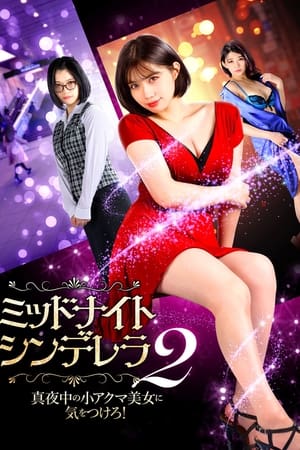 ミッドナイト・シンデレラ２