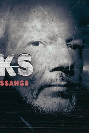 Wikileaks - Die USA gegen Julian Assange