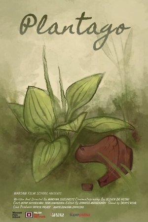 Plantago