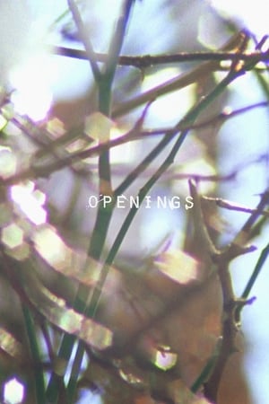 Openings