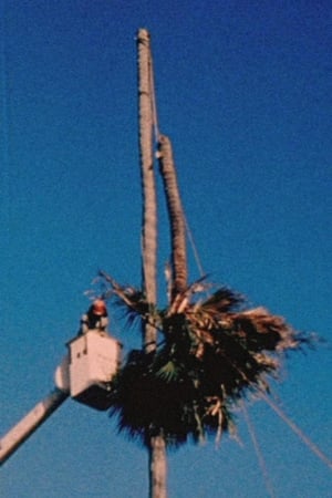 Palm Down