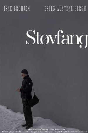 Støvfang