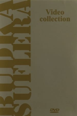 Budka Suflera: Video Collection