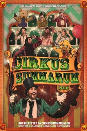 Cirkus Summarum第6季