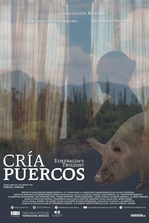 Cría puercos