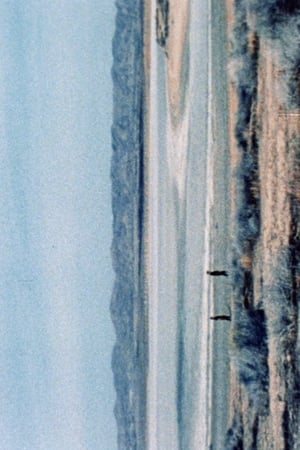 (100ft)