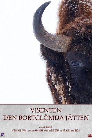 Visenten - Den Bortglömda Jätten