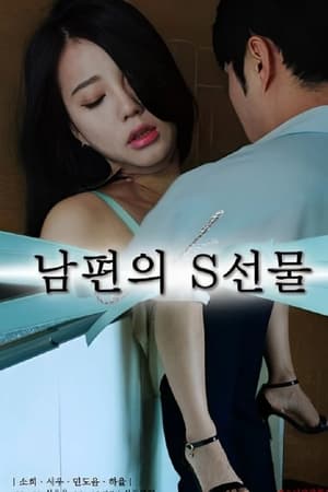 남편의 S선물