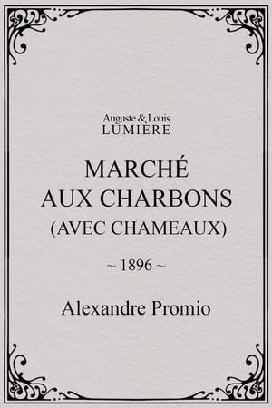 Marché aux charbons (avec chameaux)