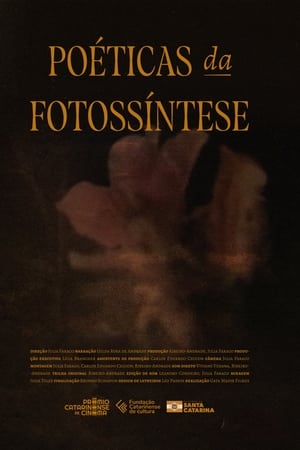 Poéticas da Fotossíntese