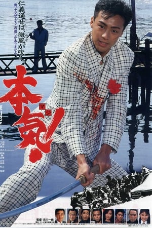 本気!