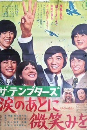 ザ・テンプターズ  涙のあとに微笑みを
