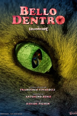 Bello dentro