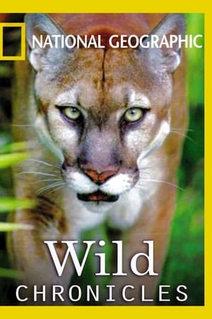 Wild Chronicles