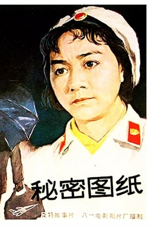 秘密图纸