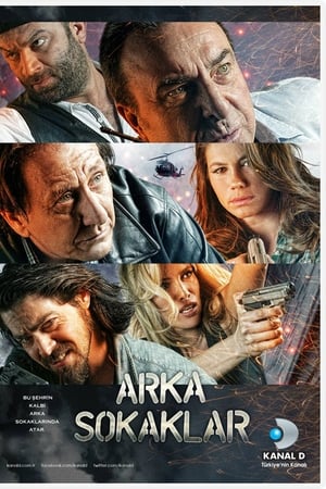Arka Sokaklar第9季
