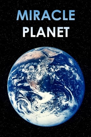 Miracle Planet