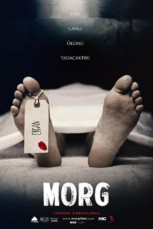 Morg