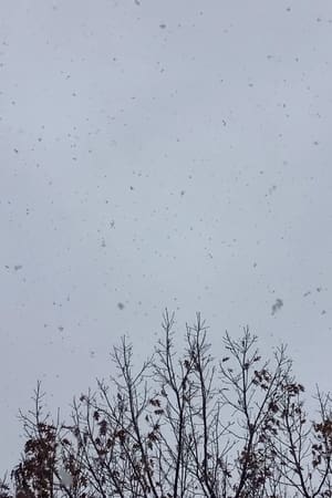 a sudden change in seasons