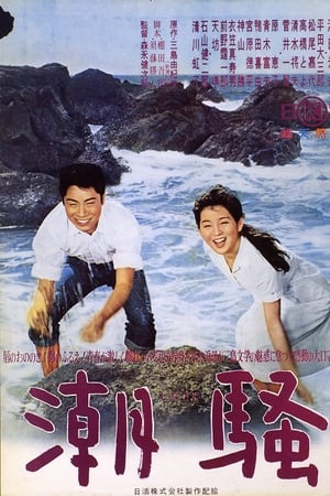 潮骚