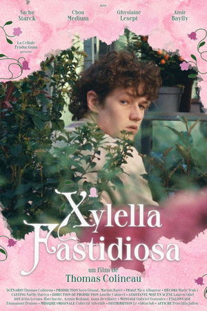 Xylella Fastidiosa