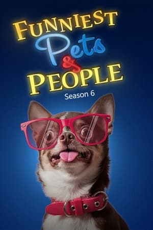 Funniest Pets & People第6季