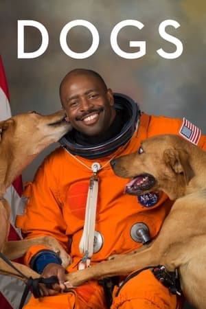 爱犬情深第2季