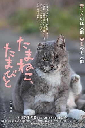 たまねこ、たまびと