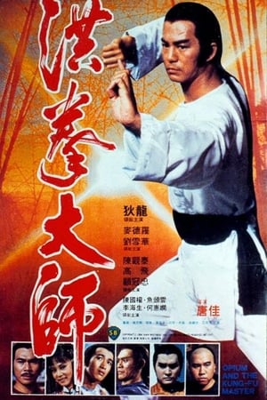 洪拳大师