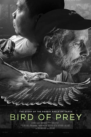 Bird of Prey