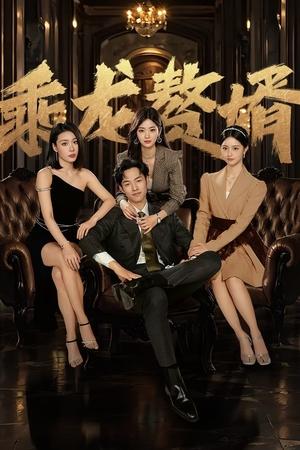 乘龙赘婿