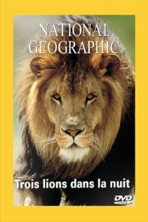 Walking With Lions: Lions Of Darkness