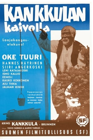 Kankkulan kaivolla