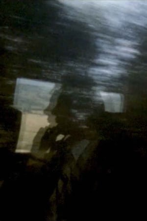 My Echo, My Shadow and Me