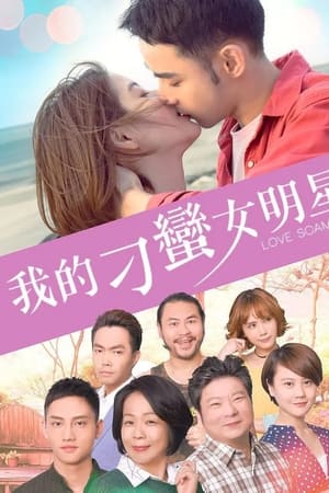 我的刁蠻女明星