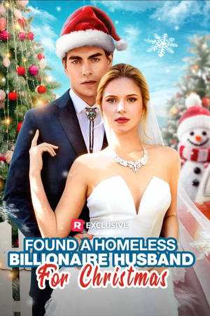 Found A Homeless Billionaire Husband for Christmas