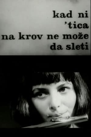 Kad ni 'tica na krov ne može da sleti