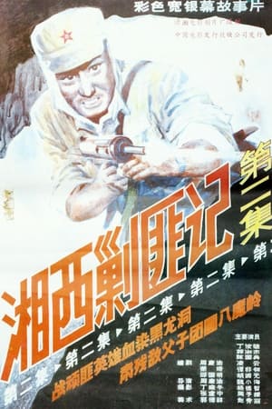 湘西剿匪记 下集